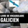 Livre de vocabulaire galicien