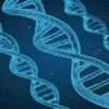 L’origine dell’uomo e la scelta in rapporto col sesso