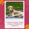 Loving Italian Greyhounds