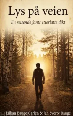 Lys på veien
