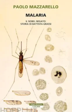 Malaria
