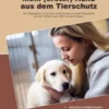 Mein (erster) Hund aus dem Tierschutz