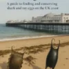Mermaid purses of Brighton