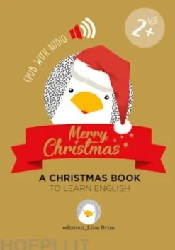 Merry Christmas - a Christmas book