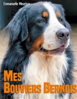 Mes Bouviers Bernois