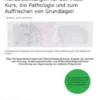 Mikroanatomische Handzeichnungen für den Histo-Kurs, die Pathologie und zum Auffrischen von Grundlagen