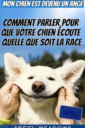 Mon Chien Est Devenu Un Ange