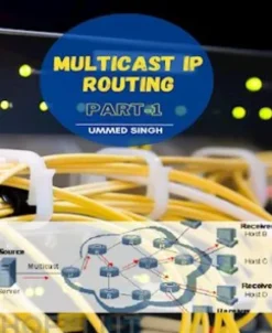MULTICAST IP ROUTING