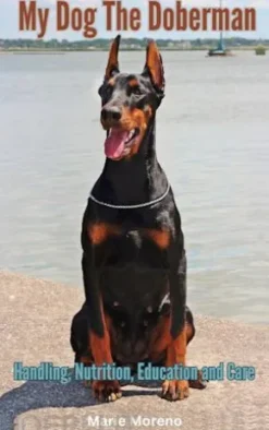 My Dog The Doberman