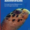 Navegantes ancestrales