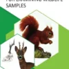 Necropsy Techniques for Examining Wildlife Samples