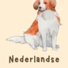 Nederlandse Kooikerhondje