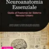 Neuroanatomia Essenziale: Guida all'Anatomia del Sistema Nervoso Umano