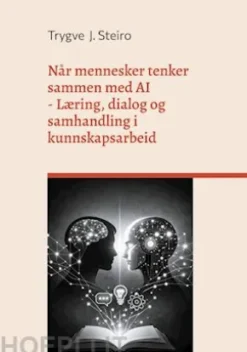 Når mennesker tenker sammen med AI