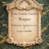 Nugae