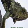 On the Origin of Species