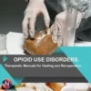 Opioid Use Disorders: