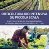 Orticoltura bio-intensiva su piccola scala