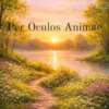 Per Oculos Animae