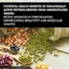 Potential Health Benefits of Biologically Active Peptides Derived from Underutilized Grains: Recent Advances in their Isolation, Identification, Bioactivity and Molecular Analysis