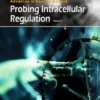 Probing Intracellular Regulation