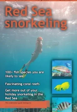 Red Sea snorkeling