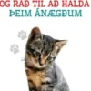 Ræktun Heimilisketta og ráð til að Halda þeim Ánægðum