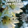 Sampi E Il San Pedro