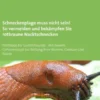 Schneckenplage muss nicht sein! So vermeiden und bekämpfen Sie rotbraune Nacktschnecken