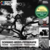 Schwarz-Weiß-Fotografie