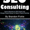 SEO Consulting