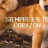 Siempre en tu corazón