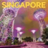 Singapore Pocket