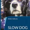 Slow Dog