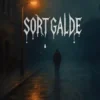 Sort Galde 1