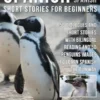 Spanish Short Stories For Beginners (Easy Spanish)