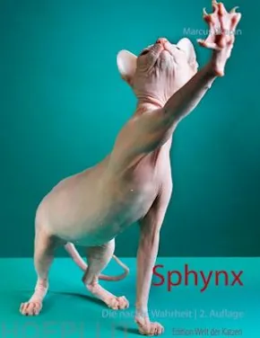 Sphynx