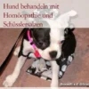 Stoffwechselkrankheiten beim Hund behandeln mit Homöopathie und Schüsslersalzen
