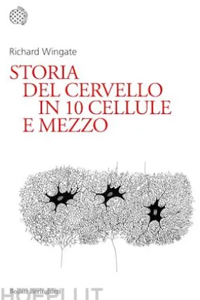 Storia del cervello in 10 cellule e mezzo