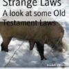 Strange Laws