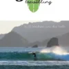 Surftravelling