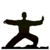 Tai Chi: Balans en Harmonie