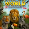 The Amazing Animal World