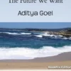 The Future We Want