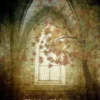 The Haunted House