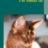 The Somali cat