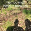 Tiempo en el bosque para dos