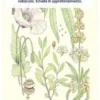 Tossicologia vol.3. Tossine di imenotteri, erbe e droghe, armi chimiche, radiazioni, Schede di approfondimento