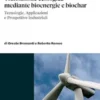 Transizione ecologica mediante bioenergie e biochar