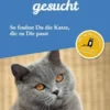 Traumkatze gesucht